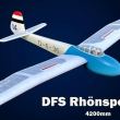 DFS Rh�nsperber