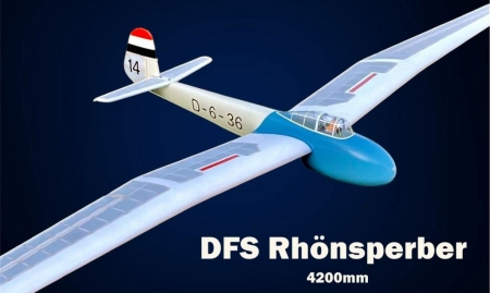 DFS Rh�nsperber